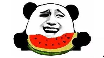 娱乐圈的瓜vs我吃的瓜图片